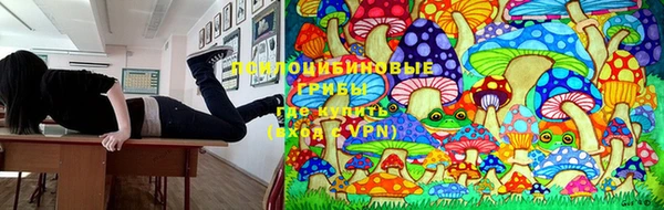 а пвп мука Алексеевка