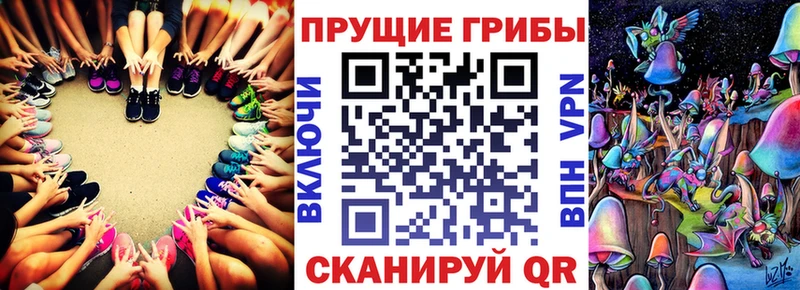 Галлюциногенные грибы Cubensis  Купить закладки  Коряжма 